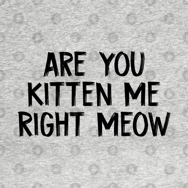 Are You Kitten Me Right Meow by TIHONA